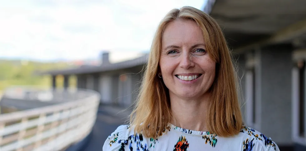 – Vi forventer at vi får inn en god del meldinger innen fristen, sier Ingrid Myrtveit som er seksjonssjef for nettkonsesjoner i NVE.