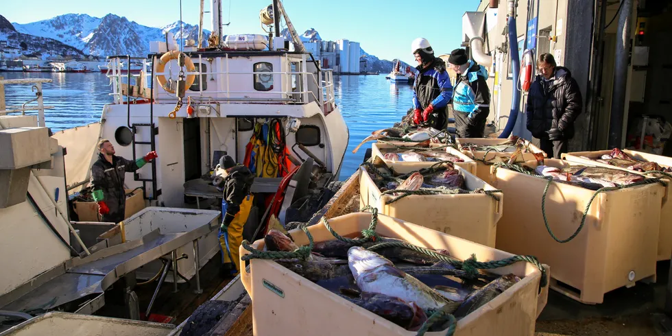 Over 1 million tonn fisk ble omsatt gjennom salgslaget Norges Råfisklag i 2020.