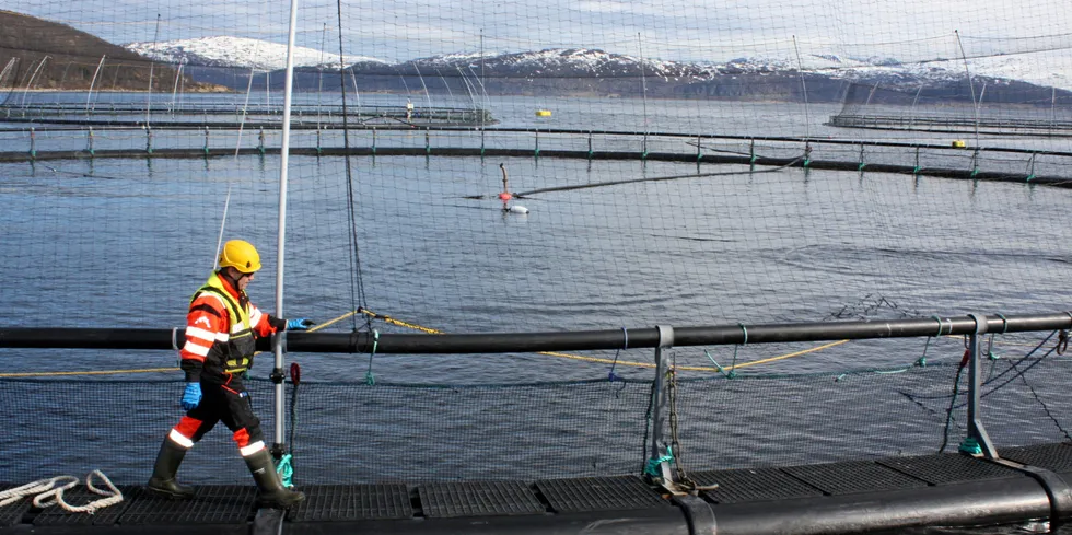 Ledelse og compliance hos havbruksaktørene