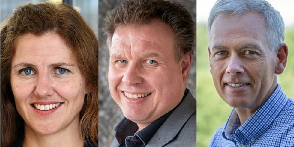 Nye direktører i NVE (fv): Inga Nordberg, Brigt Samdal og Arne Bjørn Mildal. Nordberg, som kommeri fra Direktoratet for e-helse, er den eneste eksterne. Hun ble foretrukket fremfor dagens direktør av energiavdelingen.