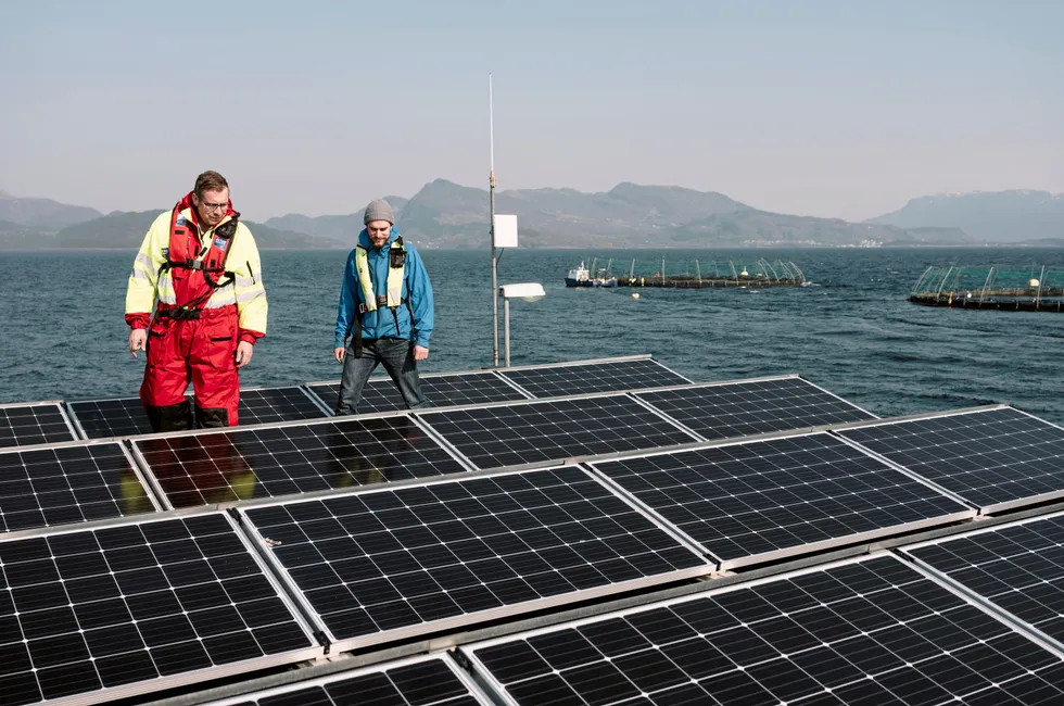 Solenergi sysselsetter 2.262 årsverk i Norge. Her fra Grieg Seafood Rogalands anlegg på Nordheimsøyna i Finnøy kommune.