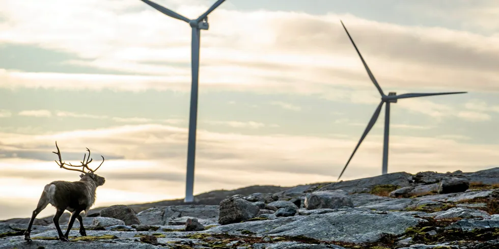Mindre vindkraft, kombinert med lave temperaturer, bidrar til oppgang i strømprisen i Midt- og Nord-Norge til lørdag.