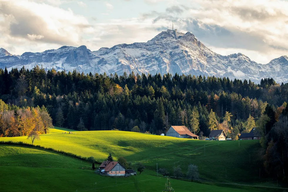 Den lille byen og finanssenteret St. Gallen ved Bodensjøen i Sveits ligger naturskjønt til, og har beitende kyr inne i byen. University of St. Gallen har vært et av de mest prestisjefylte stedene for norske studenter innen økonomi og administrasjon helt siden 1947.