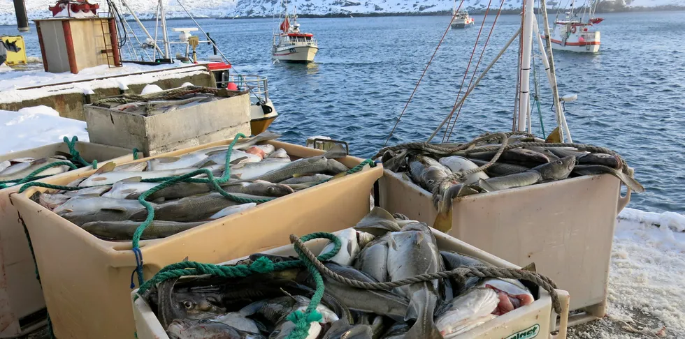 HAR KONSEKVENSER: Det er i dag ett år siden den første koronapåvisningen i Norge. Sjømatnæringen har fått kjenne konsekvensene av pandemien blant annet i form av prisfall på hvitfisk og laks.