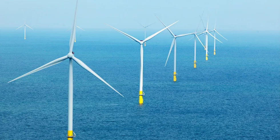 Hafslund Eco og Fred. Olsen Renewables får med seg den danske tungvekteren Ørsted i sin havvind-satsing i Norge.