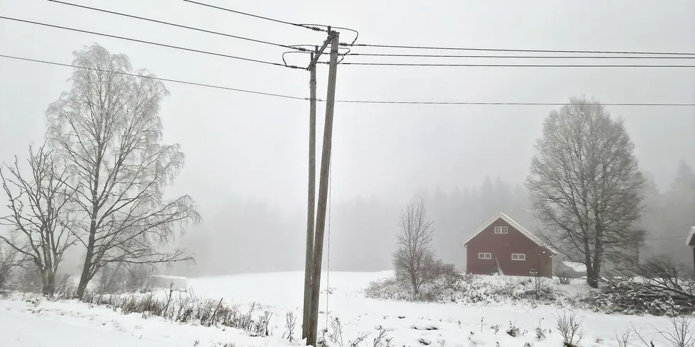 Strømkundene i Sør-Norge får den billigste hverdagen på nesten to måneder mandag. Kraftlinje distribusjonsnett Oslo.