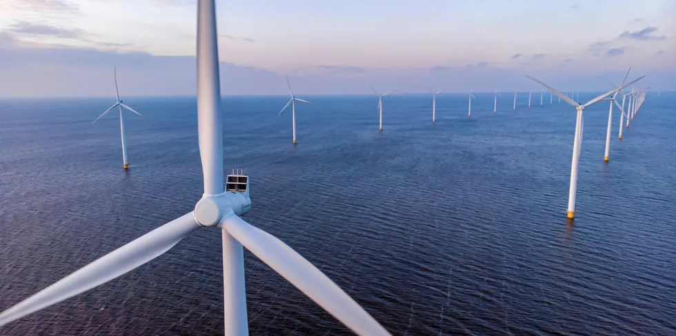 Nå kaster Hafslund seg inn i havvind og etablerer samarbeide med Fred OlsenRenewables.
