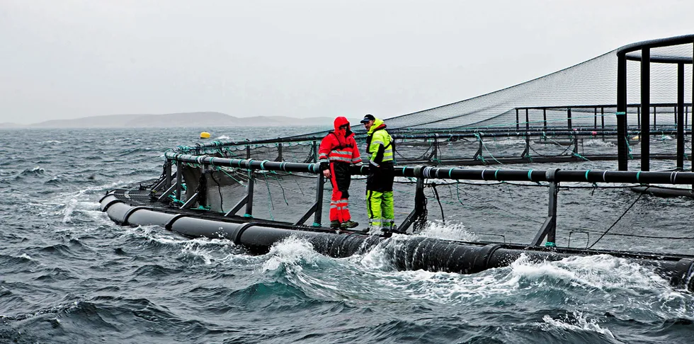 Ansatte på merdkanten er en av flere typer havbruksansatte i denne oversikten.