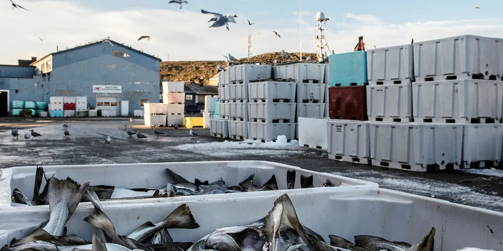 Skal finne ut hvordan klima påvirker de ulike fiskebestandene