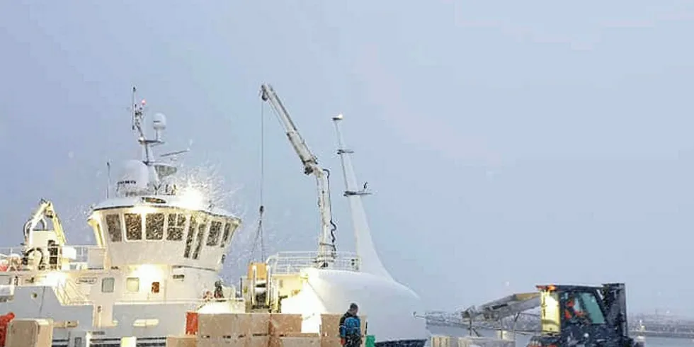 HJEMMEHAVNER: Samarbeidet i Aalesundfish Holding gjør at «Fay» like gjerne lander i Vardø som i Ålesund og Skarsvåg. Lille julaften landet hun 20 tonn netto.