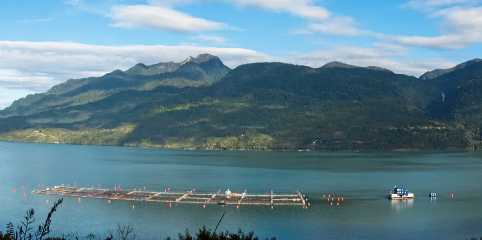 Lakselokalitet i Patagonia, Sør-Chile.