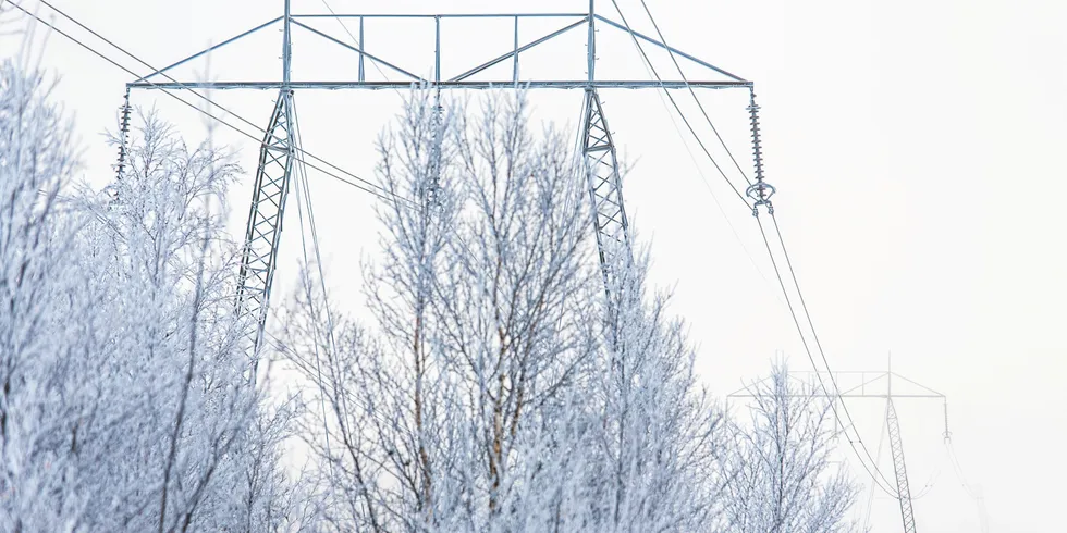 Det kalde vinterværet ser ut til å slippe taket gjennom romjulen. Det bidrar til at prisen for å prissikre vinterforbruket har falt kraftig den siste uken.