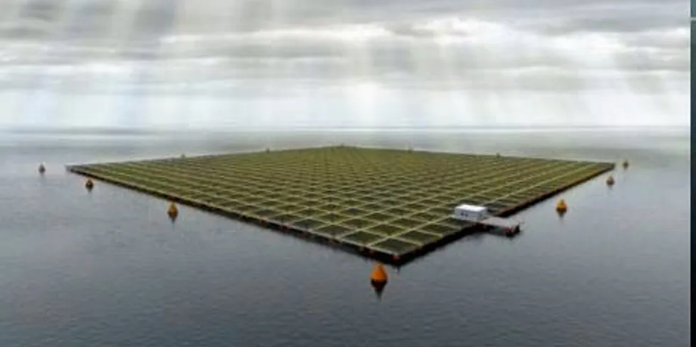 Equinor tar stadig flere grep mot fornybar energi. Nå vil de satse på flytende solkraftproduksjon utenfor Frøya.