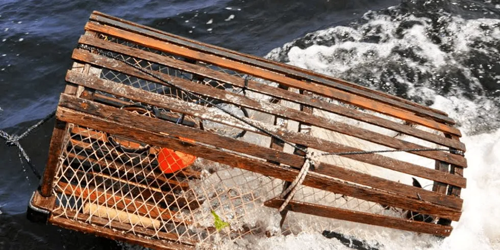 Lobsters are harvested across eastern Canada, from the five provinces that include Nova Scotia, New Brunswick, Prince Edward Island, Newfoundland and Labrador and Quebec.