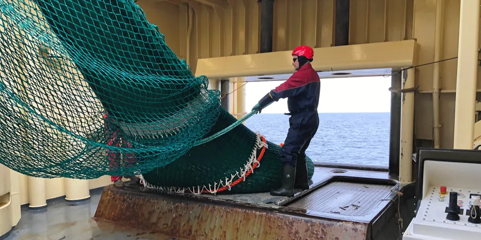 Trålhal med tobis på «Eros» under Havforskningsinstituttets forskningstokt i april-mai 2020.