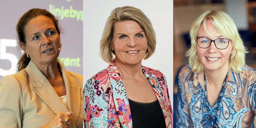 Hilde Tonne topper lønnsstatistikken blant de relativt få kvinnelige toppsjefene i bransjen. Bjørg Brestad representerer lønnsnivået til den typiske kvinnelige lederen, mens Kristin Lian er på tredjeplass blant de kvinnelige toppsjefene.