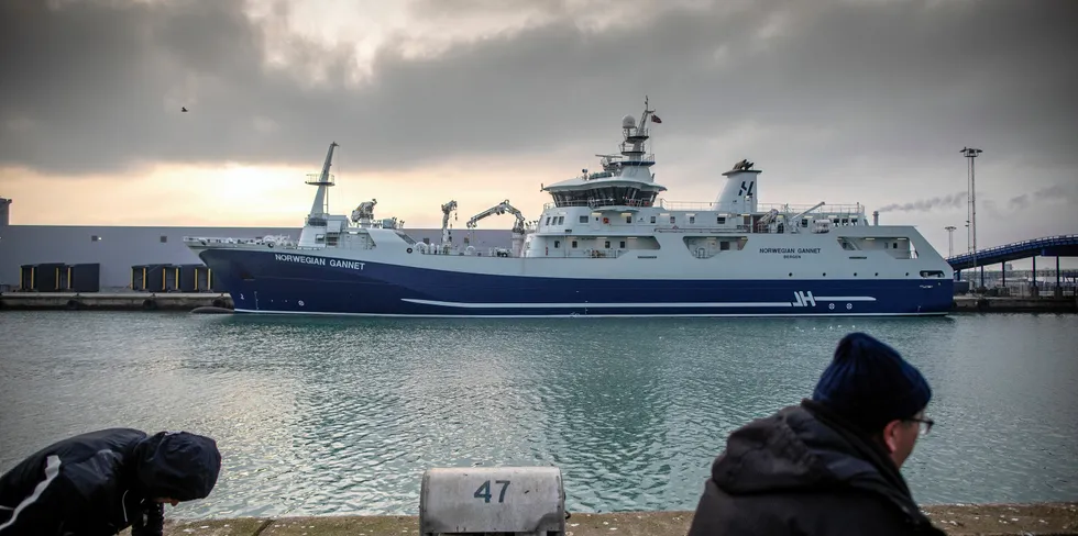 Skipet Norwegian Gannet er bygget for å frakte Norsk laks levende til Danmark for slakting og foredling.