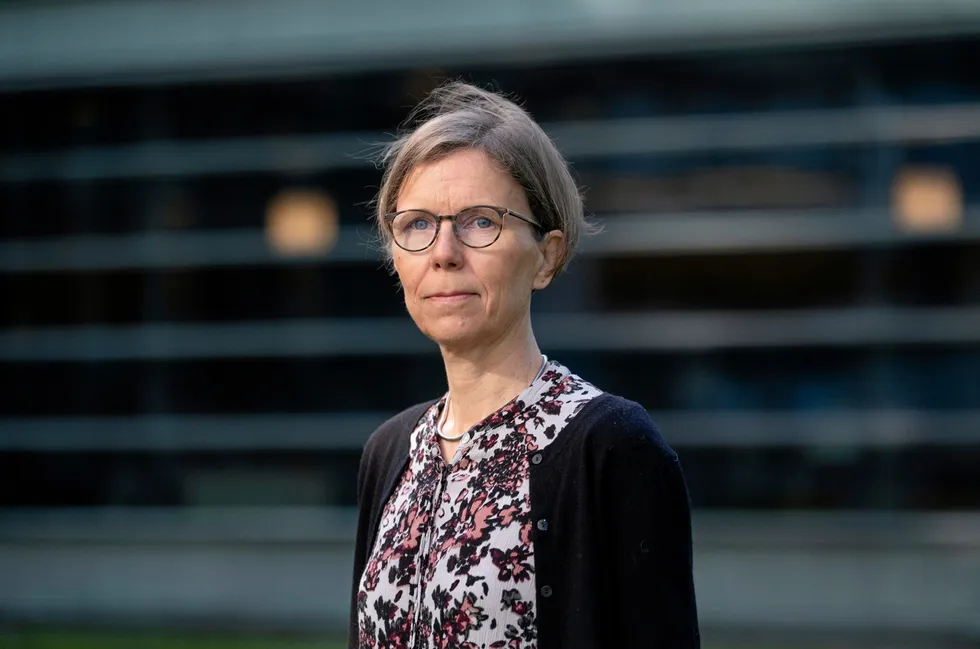 Medlemmene i kraftforsyningens beredskapsorganisasjon (KBO) etterlyser bedre forklaring av ord og utrykk. – Vi tar med oss ønsket om mer veiledning i det videre arbeidet vår, sier Eldri Holo, seksjonssjef i NVE.