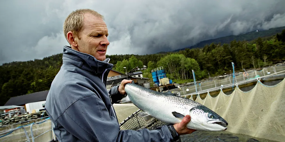 FLOTTE TALL: Tombre Fiskeanlegg-konsernet legger bak seg et svært godt år. Her administrerende direktør Håkon Kristian Tombre.