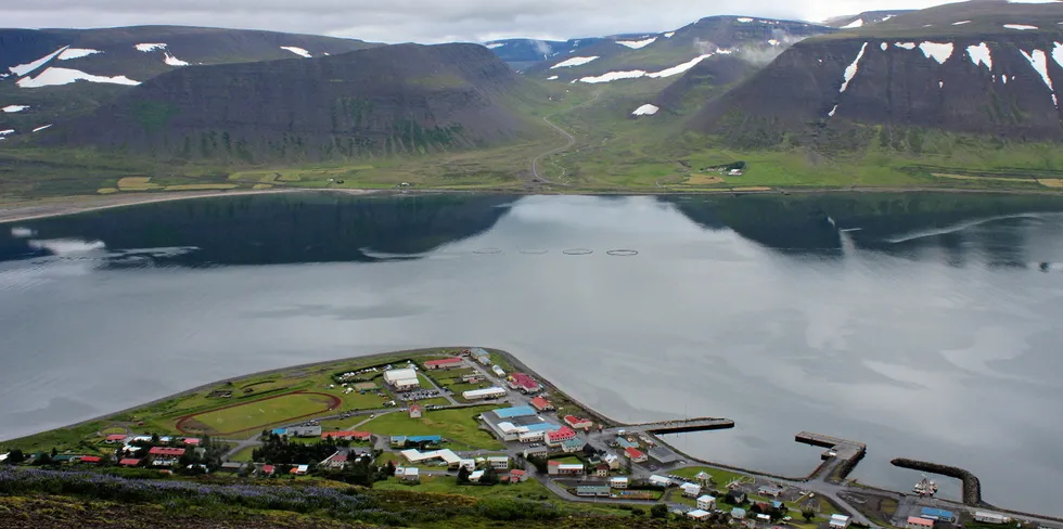 Photo: Arctic Fish