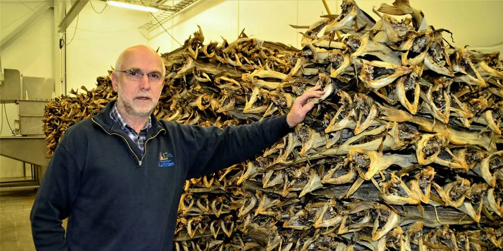 TØRRFISK: Daglig leder Helge Haug hos Ballstad-bedriften Nic. Haug fikk ut store mengde tørrfisk til Italia, USA og England i fjor høst. Det gjør at de ikke har unormalt stor lager igjen. Foto: Alf Fagerheim