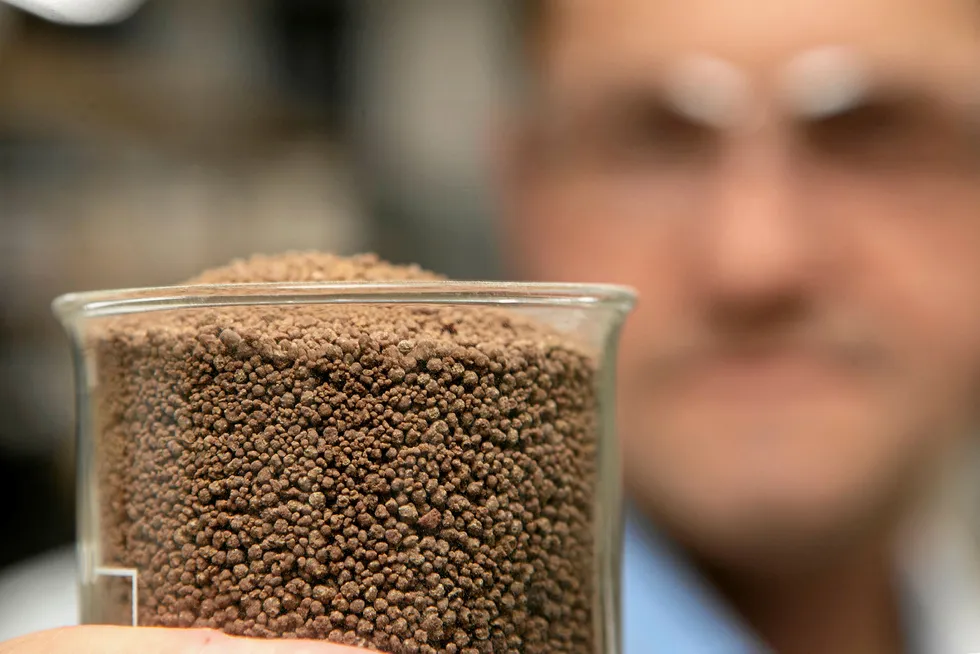 BP: Opts to invest in fish-food technology
