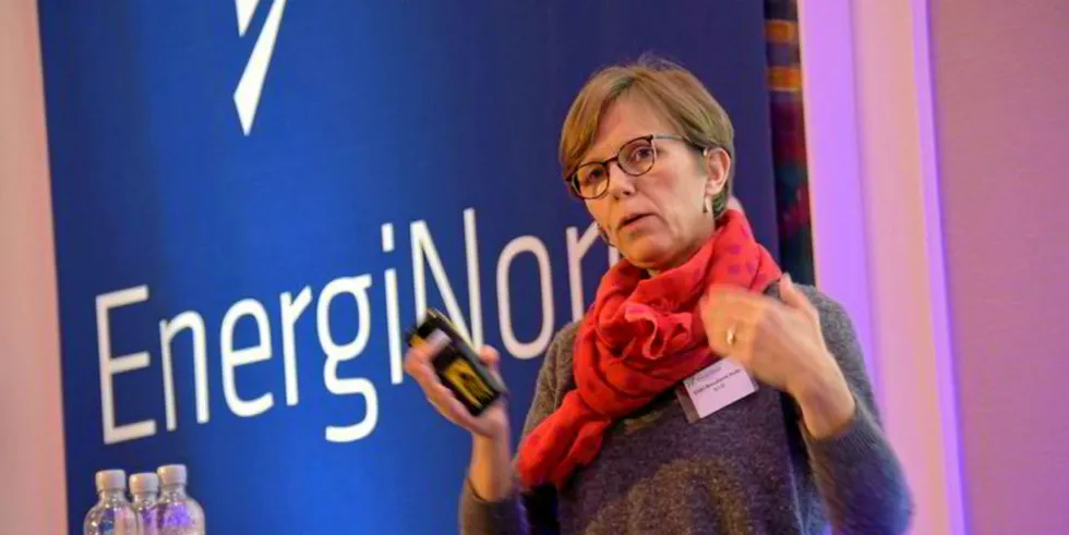 Eldri Holo i NVE mener altfor mange i kraftbransjen mangler oversikt over utstyret og systemene sine. De har heller ikke oversikt over leverandørene.