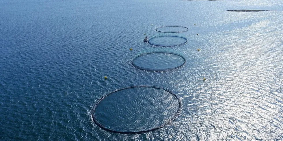 Bildet viser Nekton Havbruks visningssenter på Smøla.