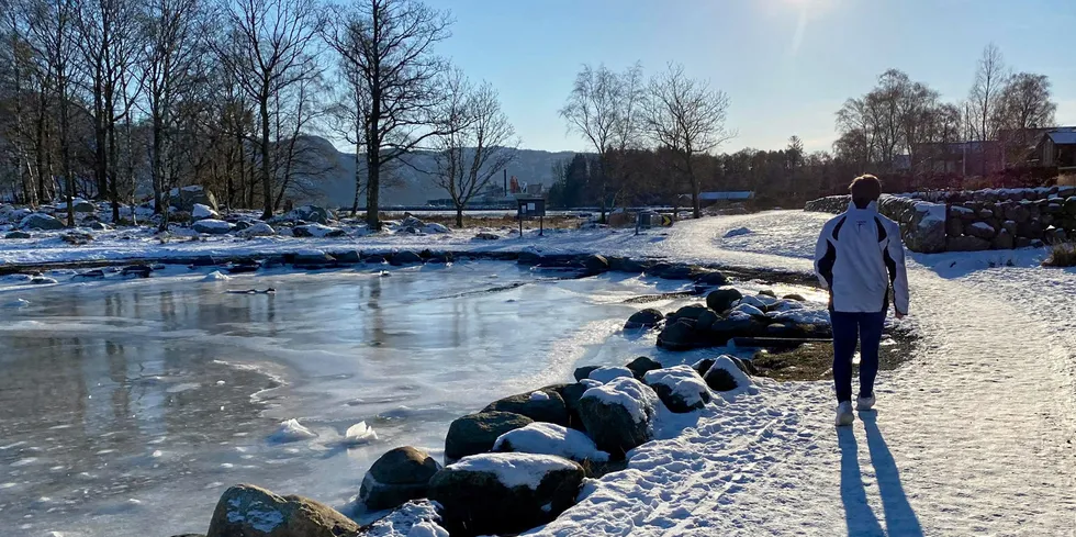 Et betydelig kaldere og tørrere vær en normalt gjorde helomvending på kraftprisutviklingen etter nyttår. Utviklingen var heller ikke i samsvar med hva analytikerne hadde sett for seg, selv om det ble varslet at prisene kunne stige raskt.