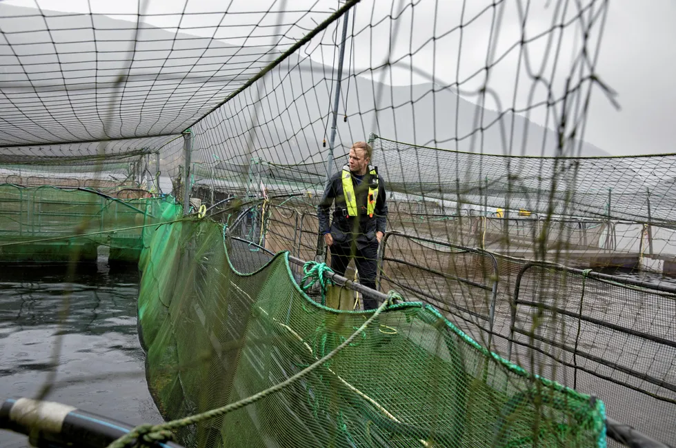 Oppdrettar Sondre Eide, her på smoltanlegget i Skogseidvatnet ved bedriftens hovedkvarter.