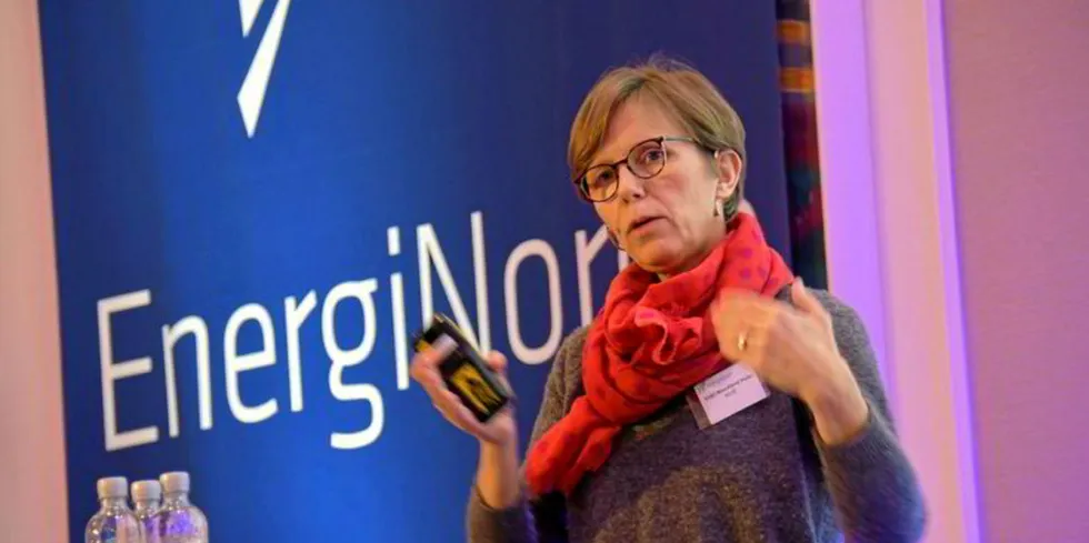 Eldri Holo i NVE trekker fram dataangrepet på Hydro som et eksempel på hvordan en virksomhet kan rammes, uten at det nødvendigvis treffer selve produksjonen. Administrative systemer kan for eksempel bli hacket.