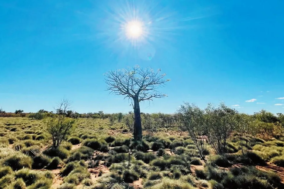 Remote and hot: the Canning basin, northwest Australia.