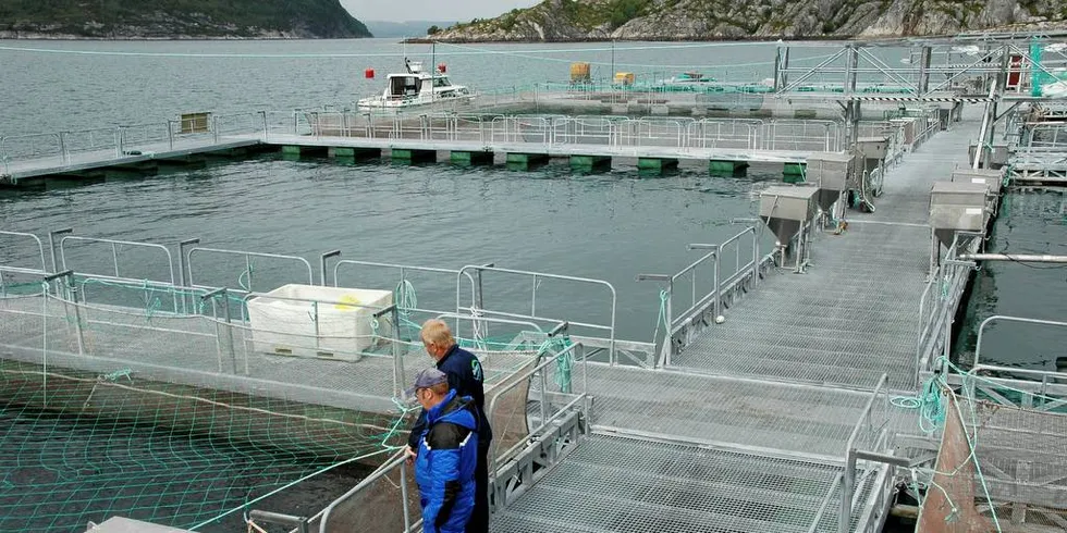 FRA ØRRET TIL LAKS: Polarlaks på Helgeland oppdrettet kun ørret på sin konsesjon. Selskapet er overtatt av Nova Sea som nå produserer laks på konsesjonen.