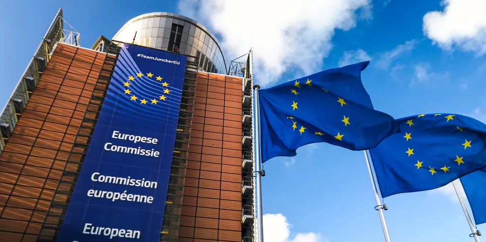 EU-kommisjonen i Brussel la i går frem sitt endelige forslag til taksonomi-regler. Det inkluderer regler for vannkraft.