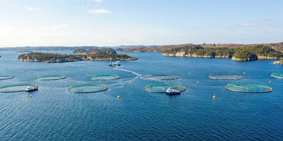 Lerøy Seafoods lokalitet Flatøyflu. Lerøy Seafoods lokalitet Flatøyflu.