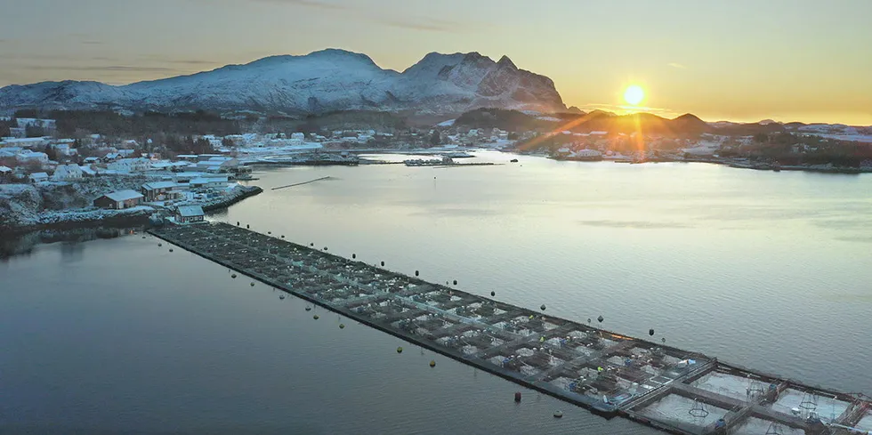 LetSea-anlegg på Helgeland: Her får laksen prøve det nye laksefôret.