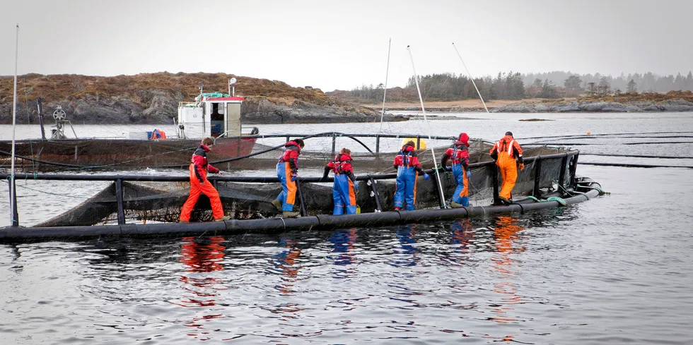 Vil det bli politisk diskusjon om tidsbegrensing på oppdrettstillatelser, selv om Havbruksutvalget ikke foreslår å innføre det?