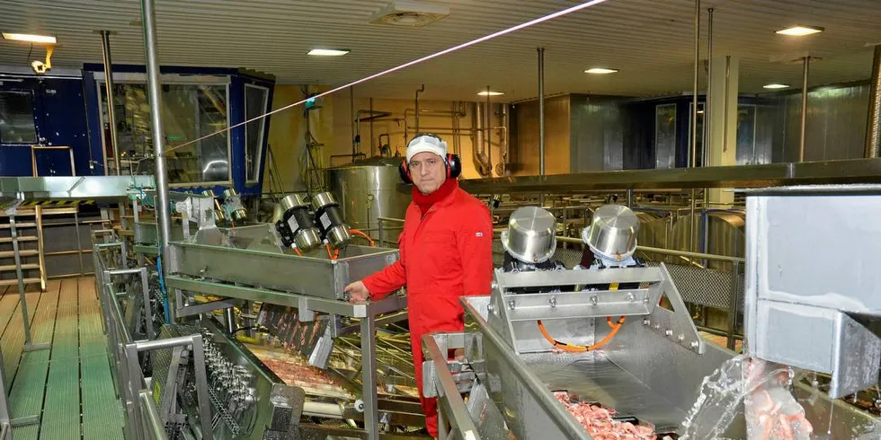 UNDERSKUDD: Prisene på reker har stupt, noe som har gitt de store rekeselskapene millionnedtur i 2016. Problemene har fortsatt inn i 2017. Her fra rekefabrikken Stella Polaris i Kårvikhamn i Troms. Foto: Rune Ytreberg