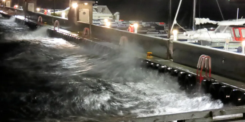 LITE RÅSTOFF FOR TIDEN: Uværet som raser har vært til liten hinder for hvitfiskeksporten siden det er lite fisk å eksportere. Her fra havna i Harstad torsdag.