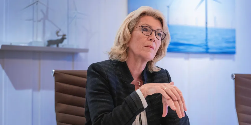 Åslaug Haga er leder i Fornybar Norge.