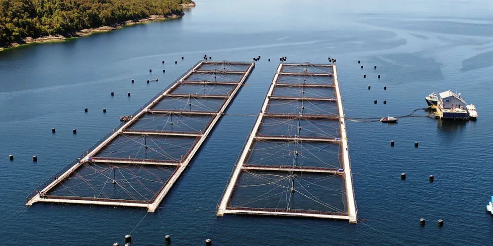 A Mowi Chile operation. The salmon farming giant faced higher costs and coronavirus-related challenges in the second quarter.