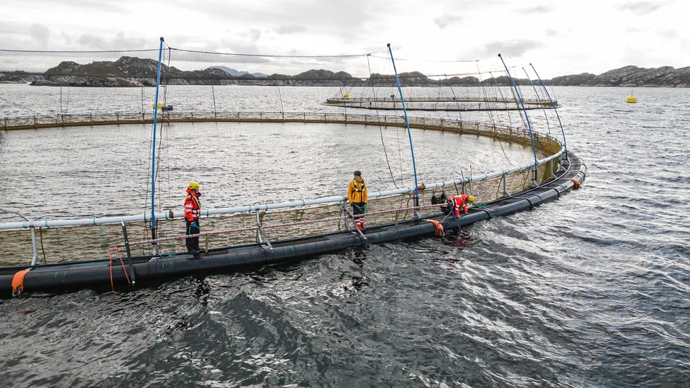 Her foregår monteringsarbeid hos en kunde som vil teste det nye strømgjerdet.