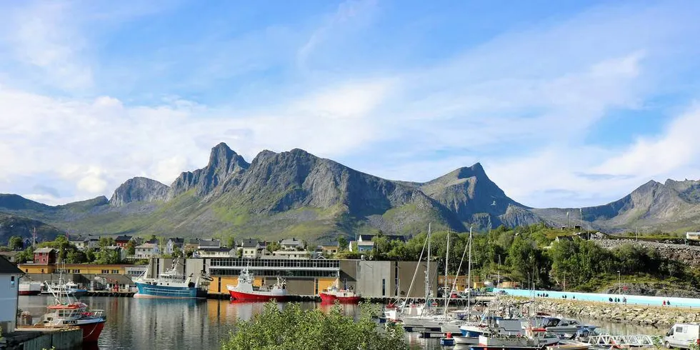 VIL ENDRE: Sjømatnæringa på Senja, her et sommerstille Husøy, vil gjerne flytte fisket på ferskfiskordninga over på skrei fra en kysttorskbestand i dårlig forfatning.Foto: Jørn Mikael Hagen