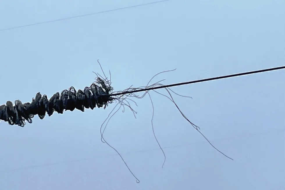 Den nye 420 kV-kabelen mellom Sogndal og Aurdal ble påført betydelig skade som resultat av kollisjonen med lasteskipet søndag morgen.