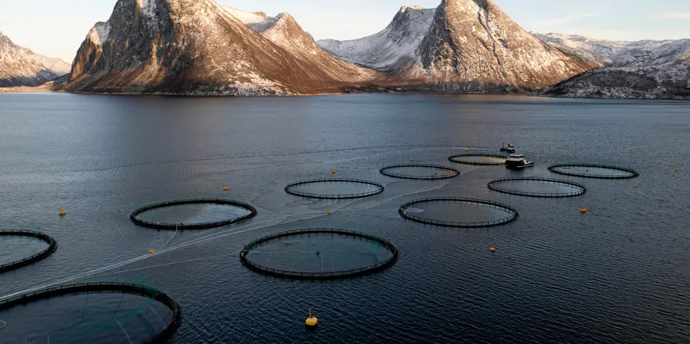 Flakstadvåg Laks sin lokalitet Skarvberget ligger i Bunkefjorden sørvest i Senja kommune.