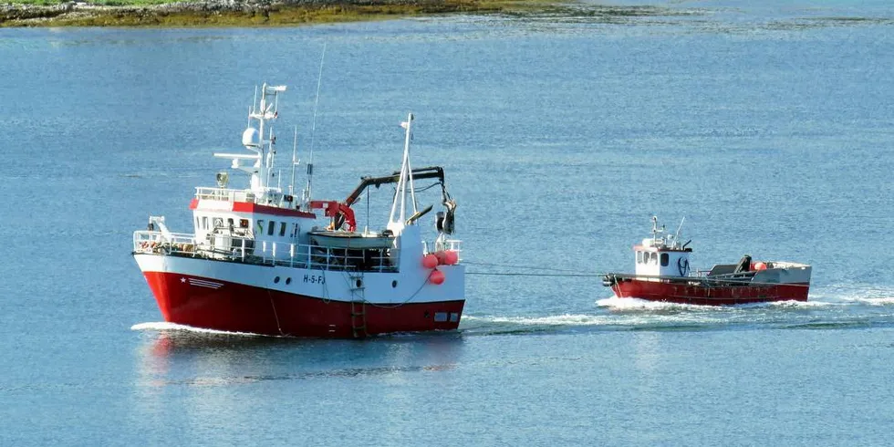 PÅ LETING: Kystnotbåten «Stording» tok turen gjennom overvintringsfjordene for sild de siste årene – med labert resultat. Dermed starter hordalendingene årets sildefiske på Kvænangen.Foto: Jon Eirik Olsen