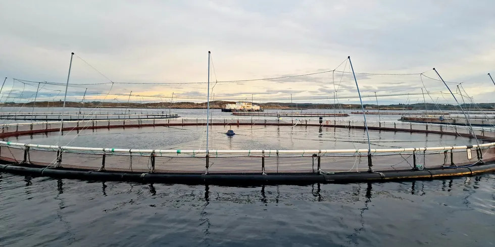 Norcods lokalitet Jamnungen på Frøya.