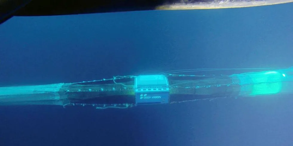 SORTERING: Fotoboksen Deep Vision Scantrol kan i fremtiden kobles mot aktive systemer for sortering i fiskedypet.Illustrasjon: Scantrol