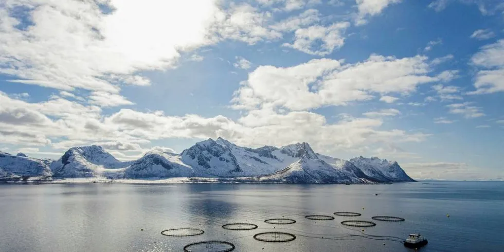 Eidsfjord Sjøfarm sin lokalitet i Senja.Foto: Foto: Eidsfjord Sjøfarm.