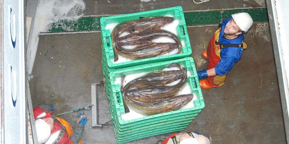 Nå får flere fartøy fiske torsk i Nordsjøen.